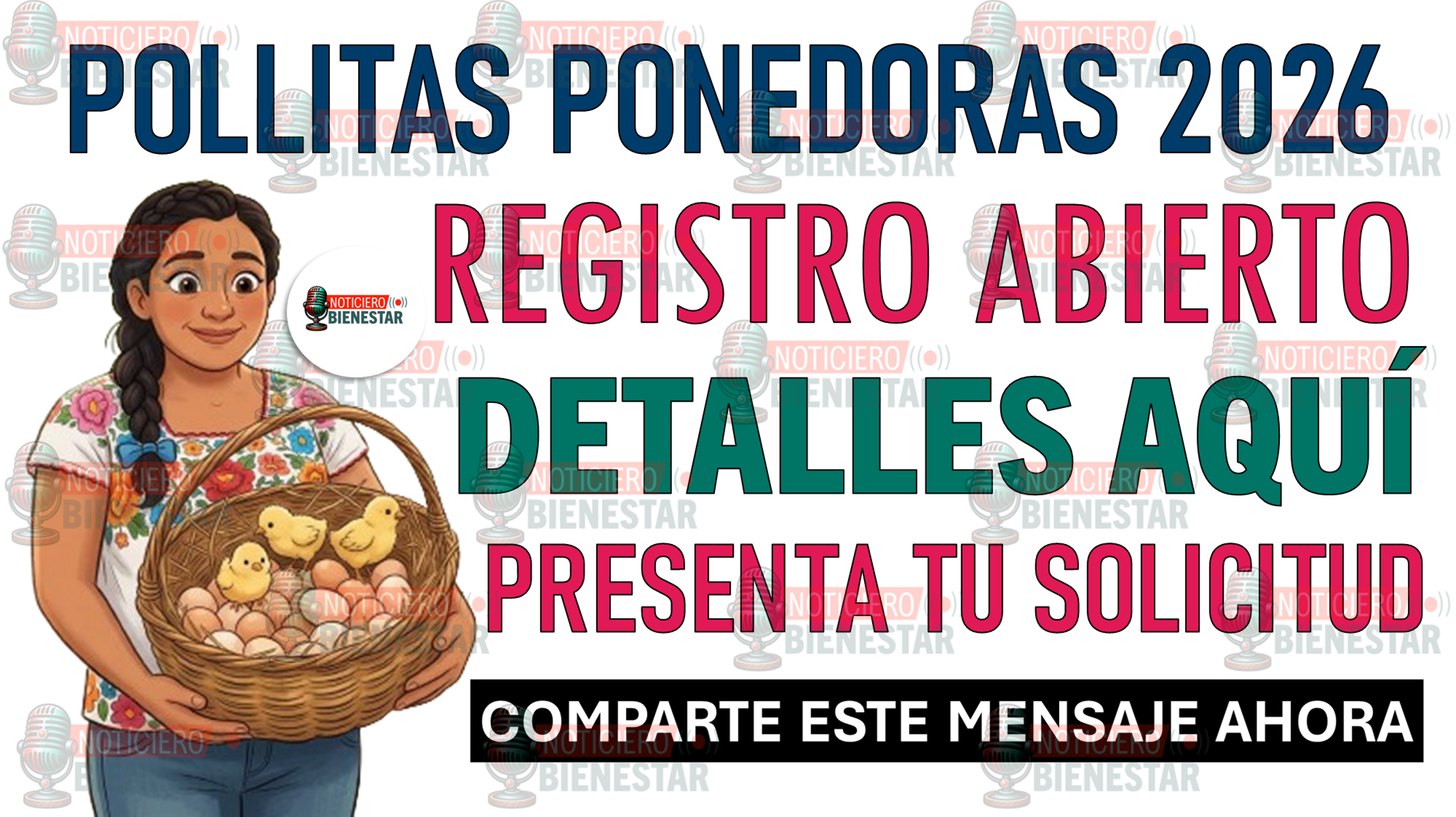 Poolitas ¡Registro Abierto! Pollitas Ponedoras 2026 Abre Registro Para Apoyar A ...
