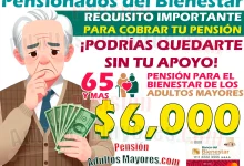 REQUISITO IMPORTANTE para recibir tus Pensiones del Bienestar en este próximo JULIO. ¡Podrías NO recibir tu apoyo!