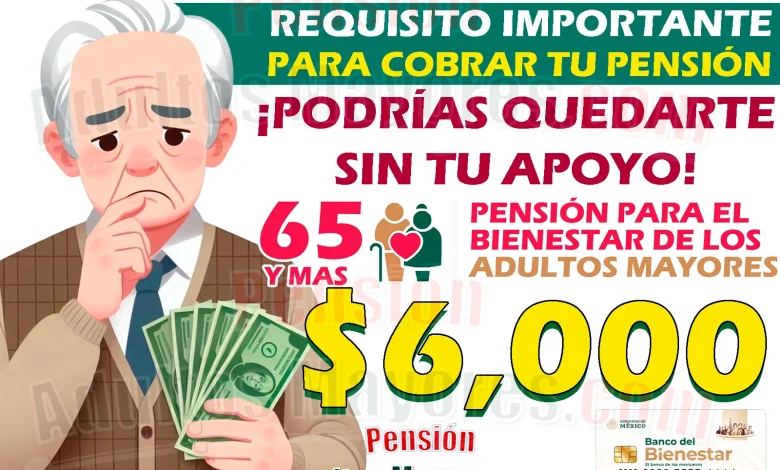 REQUISITO IMPORTANTE para recibir tus Pensiones del Bienestar en este próximo JULIO. ¡Podrías NO recibir tu apoyo!