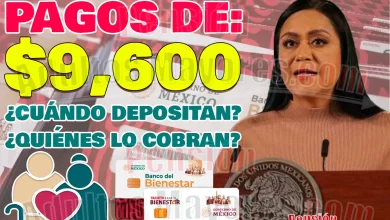$9 mil 600 pesos para Pensionados del Bienestar en los próximos días