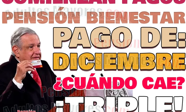 Emisión de pagos en DICIEMBRE. ¡YA COMENZÓ! ¿Quiénes cobrarán este pago?