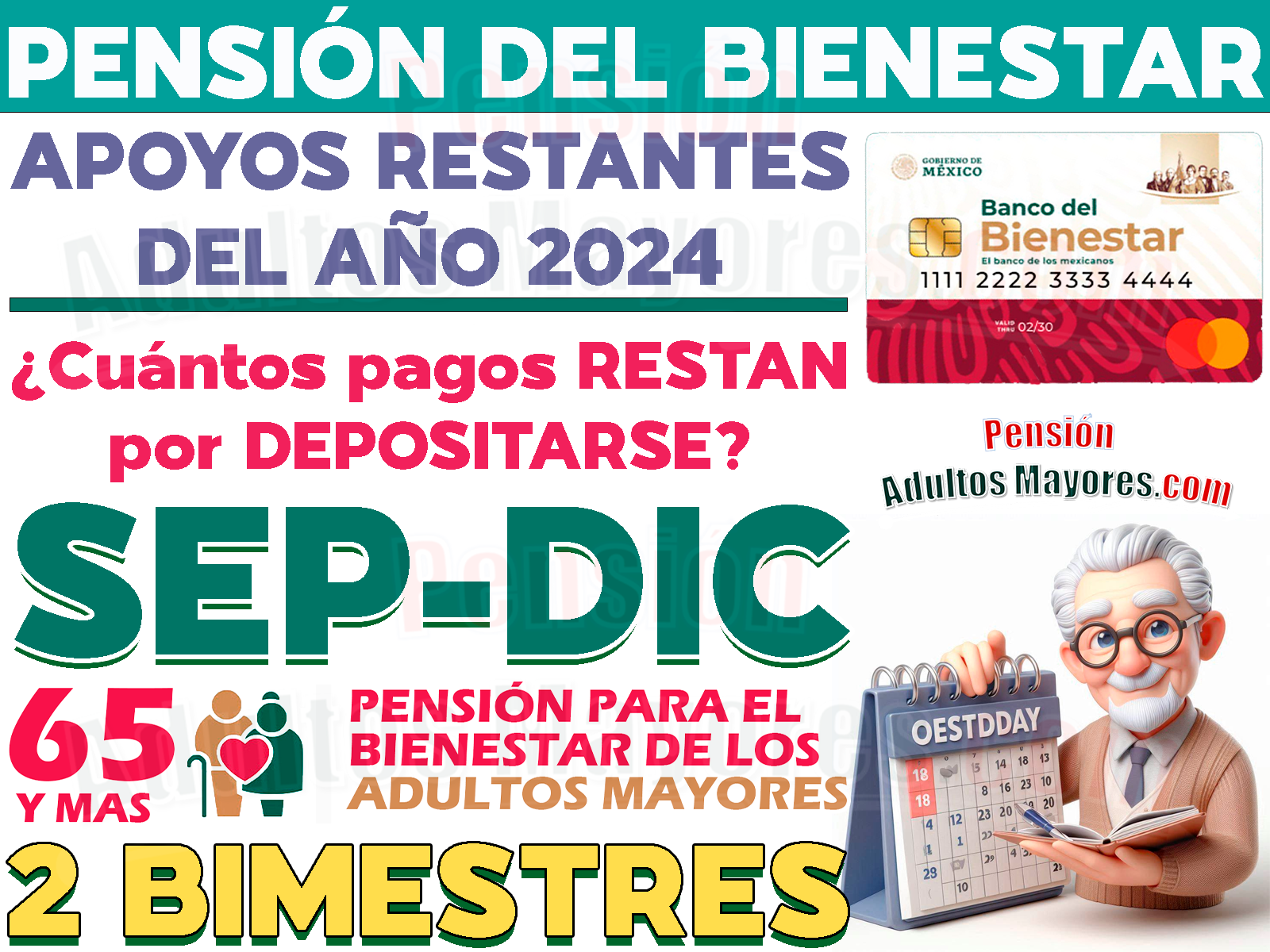 Pensiones del Bienestar RESTANTES para el año 2024. ¿Cuántos pagos recibirás en lo que queda del año?