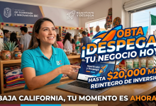 Programa “Reactívate y Despega 2026”: Apoyo económico para fortalecer emprendimientos en Baja California