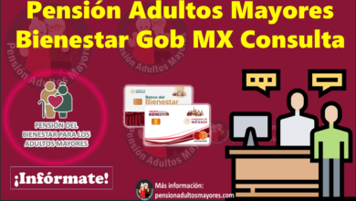 Pensión Adultos Mayores Bienestar Gob MX Consulta