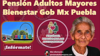 Pensión Adultos Mayores Bienestar Gob Mx Puebla