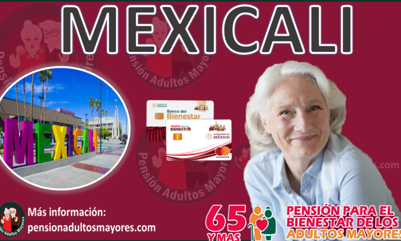 Pensión adultos mayores Mexicali