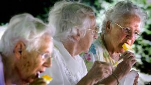 Pensión adultos mayores seguimiento