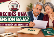¿Recibes una pensión baja del IMSS? Esto puedes revisar y los apoyos que debes conocer