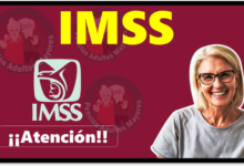 IMSS