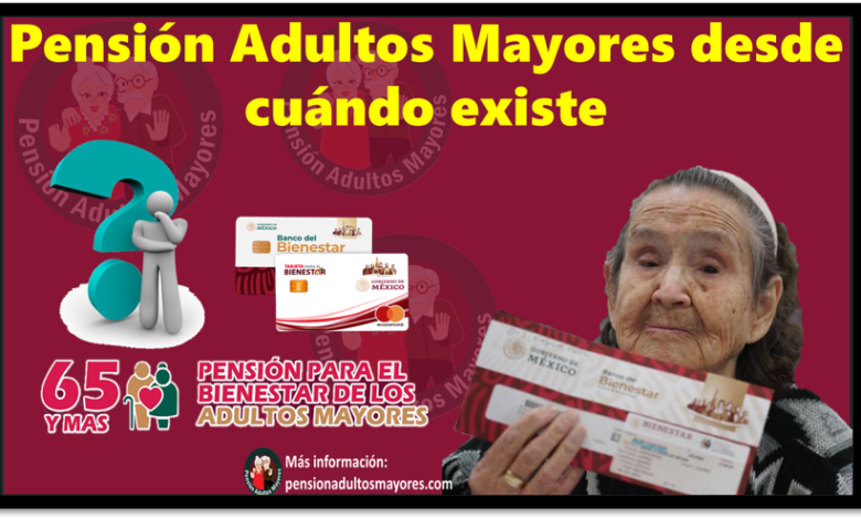 Pensión Adultos Mayores desde cuándo existe