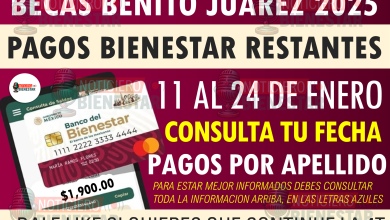 Miles de familias ya están recibiendo este apoyo del Gobierno de México. ¡No te quedes fuera y mejora tu vivienda ahora!