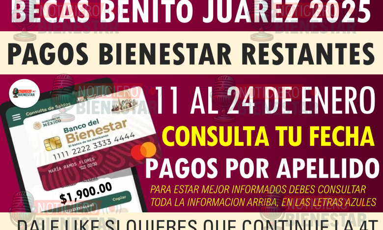 Miles de familias ya están recibiendo este apoyo del Gobierno de México. ¡No te quedes fuera y mejora tu vivienda ahora!