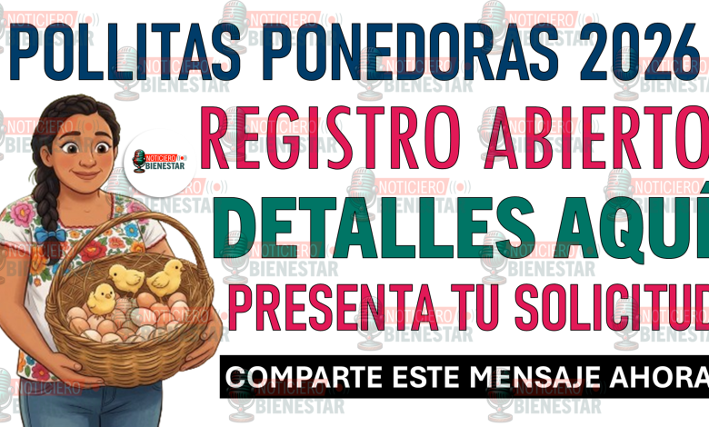 ¡Registro Abierto! Pollitas ponedoras 2026 abre registro para apoyar a familias